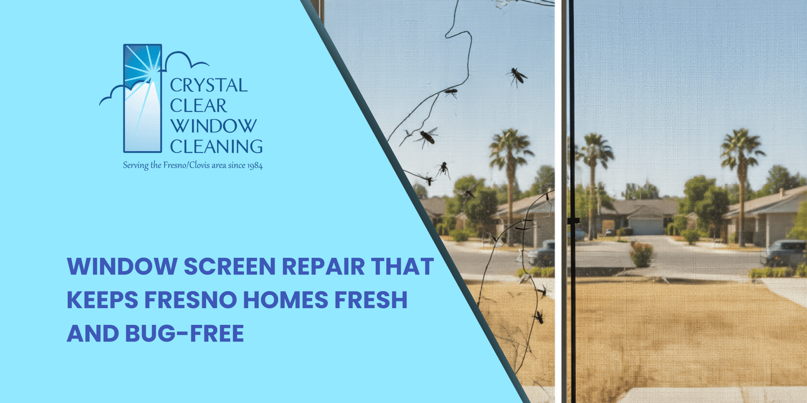 Window Screen Repair That Keeps Fresno Homes Fresh and Bug Free scaled
