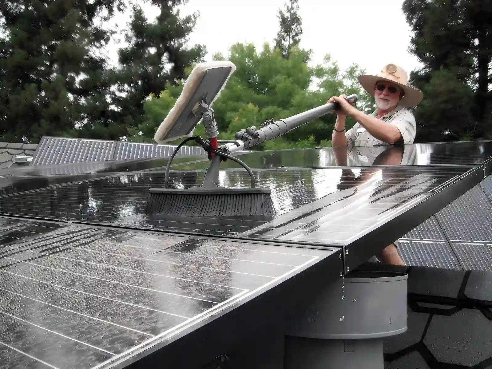 professional window cleaning service